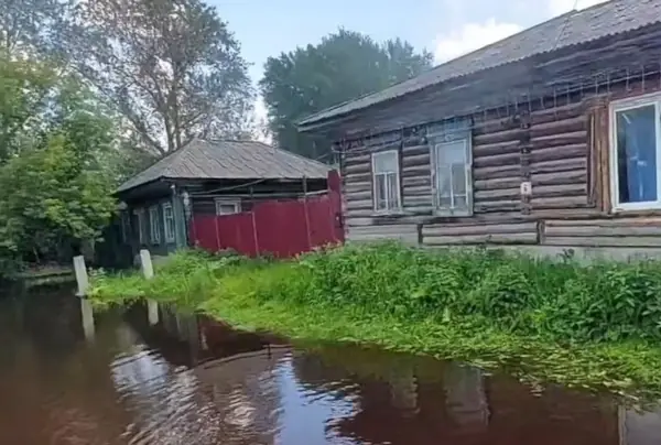 В Каменске-Уральском хозяева оставили собаку на привязи во время паводка паводок жители