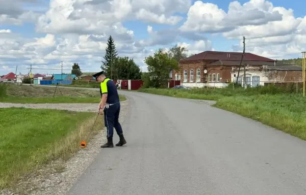 водит